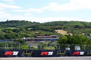 F1 Hungarian GP live commentary and updates - FP1